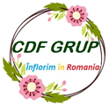 CDF GRUP